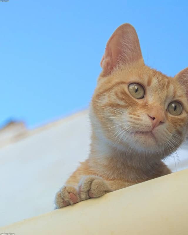 vB08e